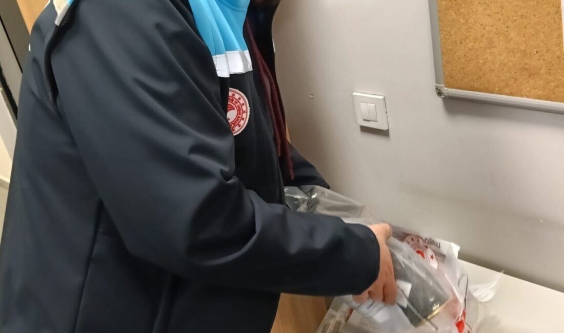 İstanbul Havalimanı’nda gerçekleştirilen denetimlerde, yasa dışı yollarla Türkiye’ye sokulmak istenen