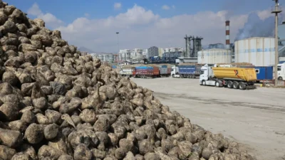 Konya Şeker Fabrikası, 2025–2026 kampanya döneminde 3 milyon 546 bin
