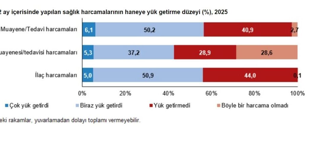 Türkiye İstatistik Kurumu (TÜİK), doktor muayene ve tedavi harcamalarının hanelerin