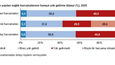 Türkiye İstatistik Kurumu (TÜİK), doktor muayene ve tedavi harcamalarının hanelerin