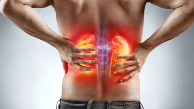 Böbreklerin vücudun en kritik denge sistemlerinden biri olduğunu belirten Dr.