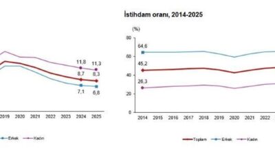 ANKARA, – TÜRKİYE İstatistik Kurumu (TÜİK), 15 ve daha yukarı