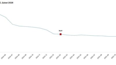 Mikail KARAMAN/ANKARA, – TÜRKİYE İstatistik Kurumu (TÜİK), hizmet üretici fiyatlarının