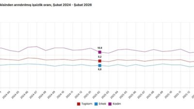 Aybala MELEK/ANKARA, – TÜRKİYE İstatistik Kurumu (TÜİK), şubat ayında işsizlik