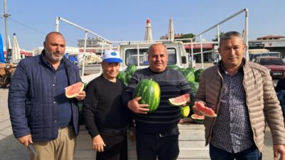 Namık Kemal KILINÇ/SERİK (Antalya), – ANTALYA’nın Serik ilçesinde serada yetiştirilen