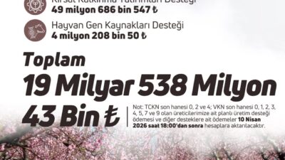 ANKARA, – TARIM ve Orman Bakanı İbrahim Yumaklı, 19 milyar
