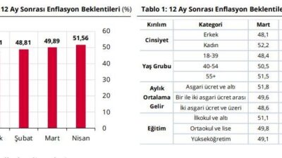 ANKARA, – TÜRKİYE Cumhuriyet Merkez Bankası (TCMB), hanehalkının 12 ay