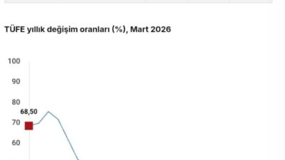 ANKARA, – TÜRKİYE İstatistik Kurumu (TÜİK), mart ayında tüketici enflasyonunun