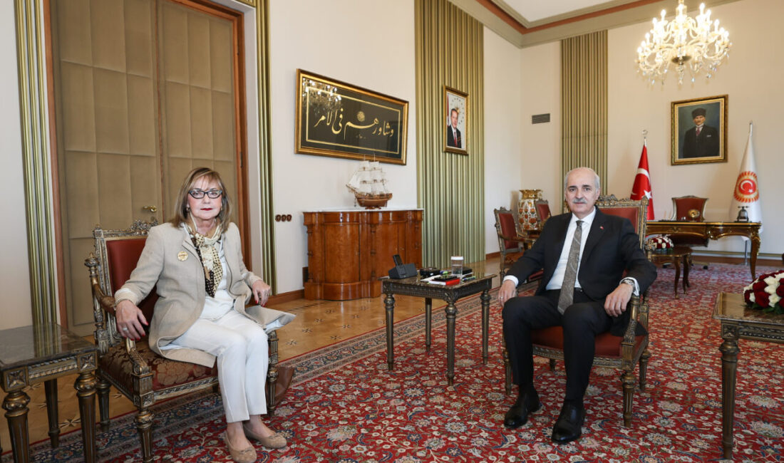 Aliekber METE/ANKARA, – TÜRKİYE Büyük Millet Meclisi (TBMM) Başkanı Numan