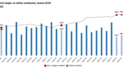 Aybala MELEK/ANKARA, – TÜRKİYE İstatistik Kurumu (TÜİK), şubat ayında dış