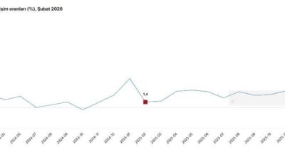 ANKARA, – TÜRKİYE İstatistik Kurumu (TÜİK), hizmet üretiminin şubat ayında