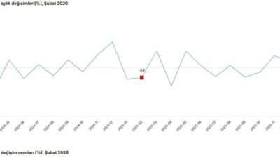 Ayşenur DEMİRTAŞ GÜL/ANKARA, – TÜRKİYE İstatistik Kurumu (TÜİK), şubat ayında