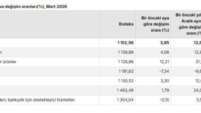 ANKARA, – TÜRKİYE İstatistik Kurumu (TÜİK), tarım ürünleri üretici fiyatlarının