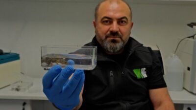 KOCAELİ, – KOCAELİ Büyükşehir Belediyesi bünyesinde hizmet veren Ormanya’da yeni