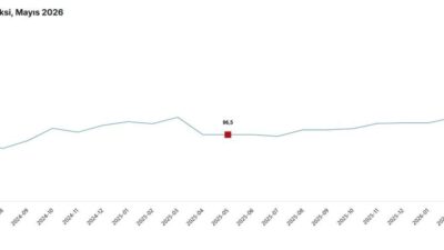 ANKARA, – TÜRKİYE İstatistik Kurumu (TÜİK), mayıs ayında yüzde 0,8