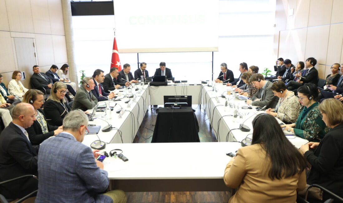 ALMANYA, – COP31 Başkanı ve Çevre, Şehircilik ve İklim Değişikliği