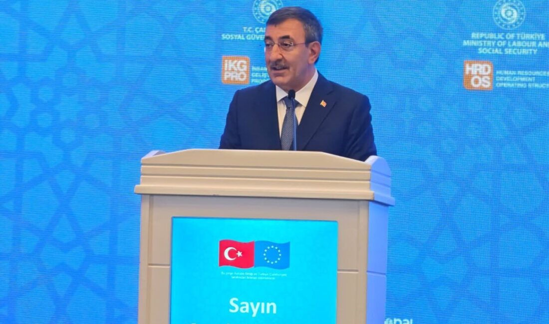 Kübra SONKAYA-Batuhan DURNAOĞLU/ANKARA, – CUMHURBAŞKANI Yardımcısı Cevdet Yılmaz, Türkiye’nin Avrupa