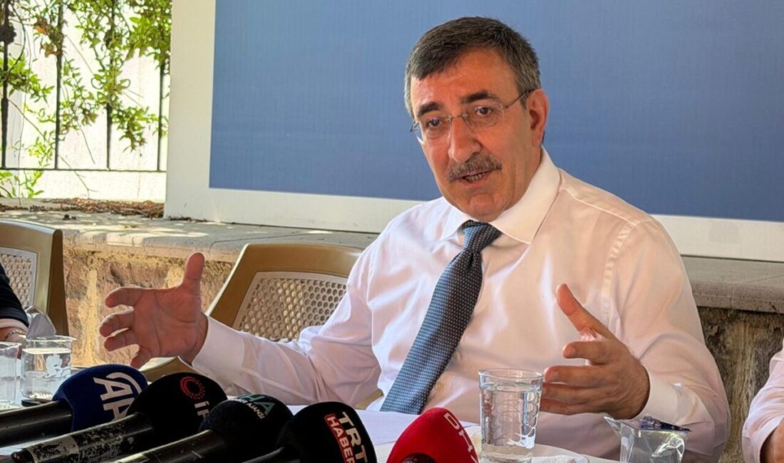 Ersin ERCAN- Batuhan DURNAOĞLU/ANKARA, – CUMHURBAŞKANI Yardımcısı Cevdet Yılmaz, “Temmuz