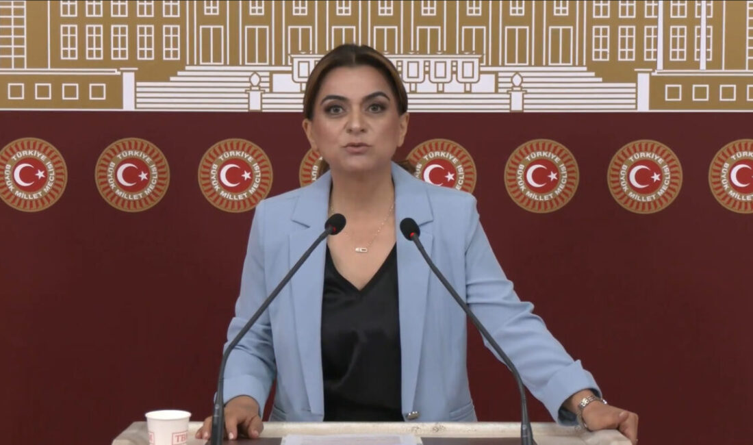 Aliekber METE/ANKARA, – DEM Parti Grup Başkanvekili Gülistan Kılıç Koçyiğit,