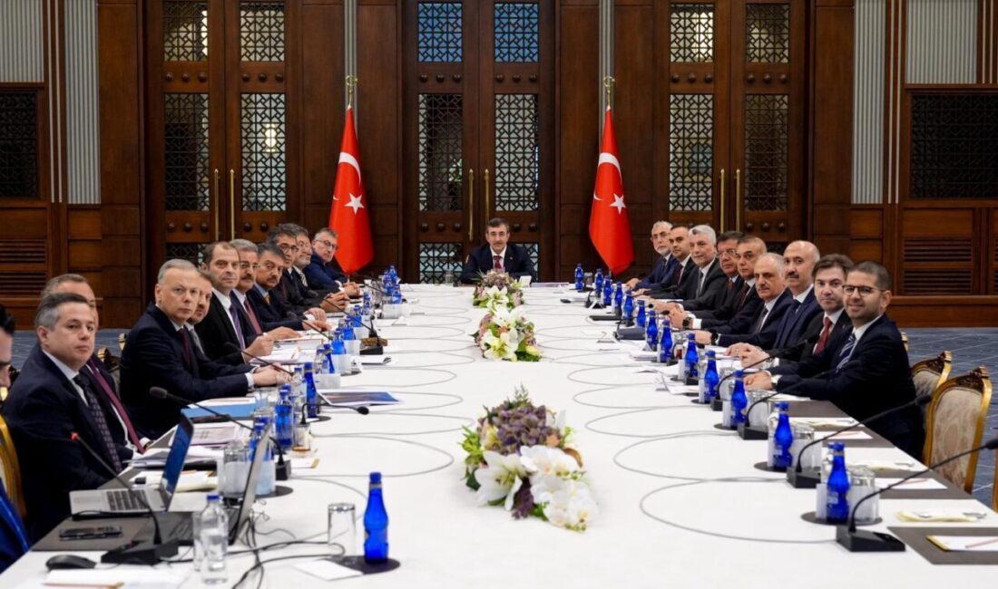 Aybala MELEK/ANKARA, – EKONOMİ Koordinasyon Kurulu (EKK), Cumhurbaşkanı Yardımcısı Cevdet