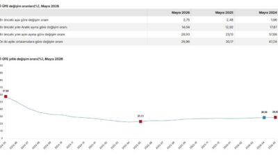 ANKARA, – TÜRKİYE İstatistik Kurumu (TÜİK), mayıs ayında tüketici enflasyonunun