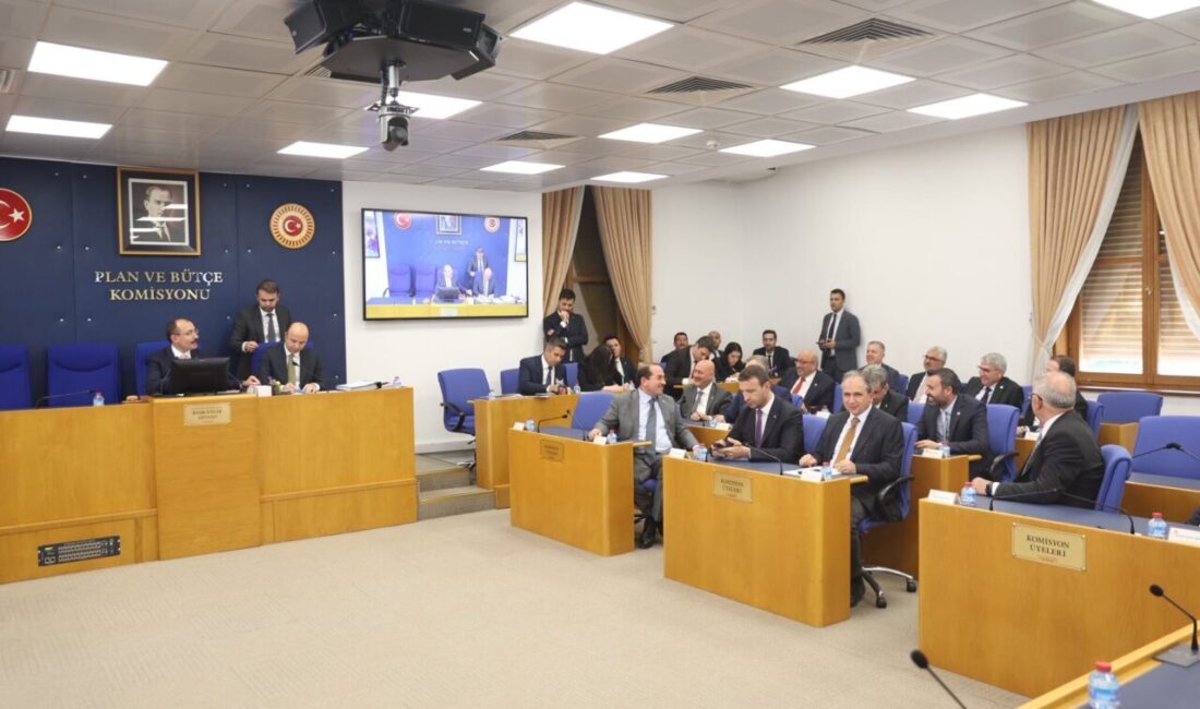 Aliekber METE/ ANKARA, – TBMM Plan ve Bütçe Komisyonu’nda, Sayıştay