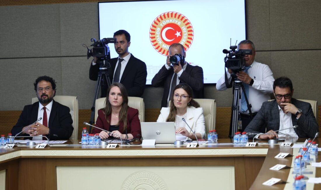 Aliekber METE/ ANKARA, – TBMM Şanlıurfa ve Kahramanmaraş Okul Olaylarını