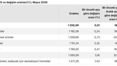 Ayşenur DEMİRTAŞ/ANKARA, – TÜRKİYE İstatistik Kurumu (TÜİK), tarım ürünleri üretici