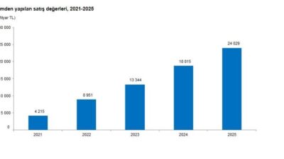 ANKARA, – TÜRKİYE İstatistik Kurumu (TÜİK), girişimlerin ürettikleri ürünlerden yaptıkları