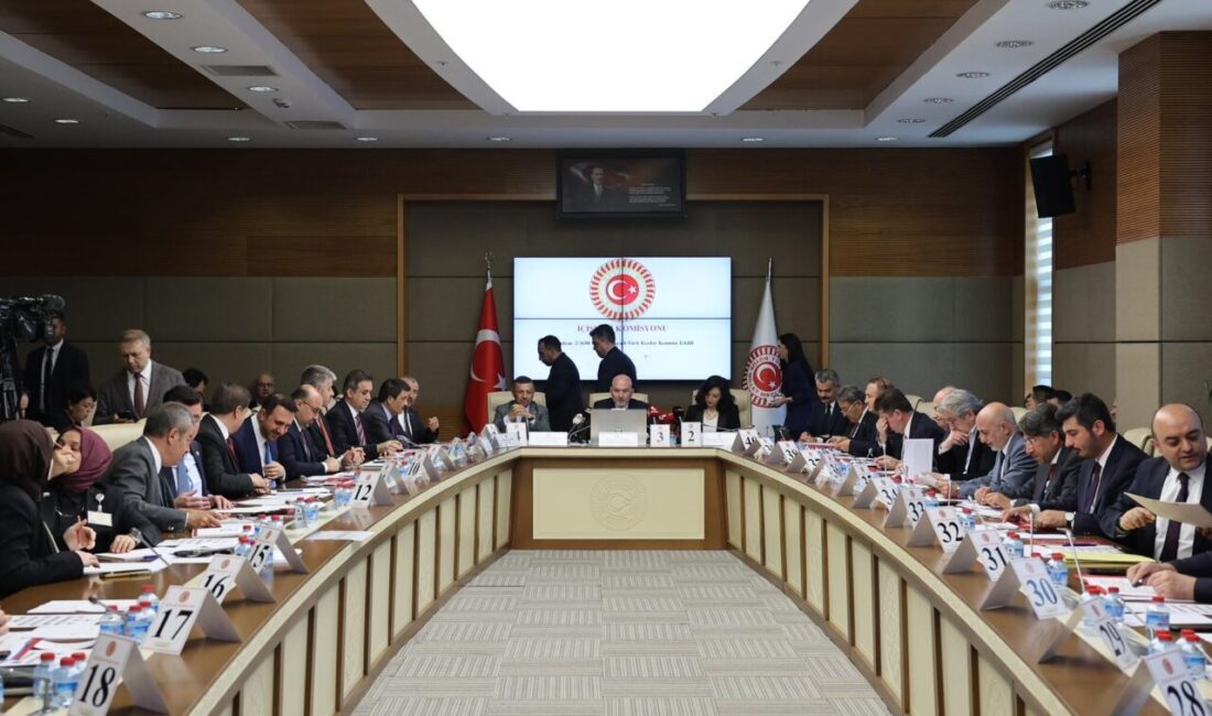 Aliekber METE-Canberk ÖZTÜRK/ANKARA, – TBMM İçişleri Komisyonu, Kızılay ile ilgili