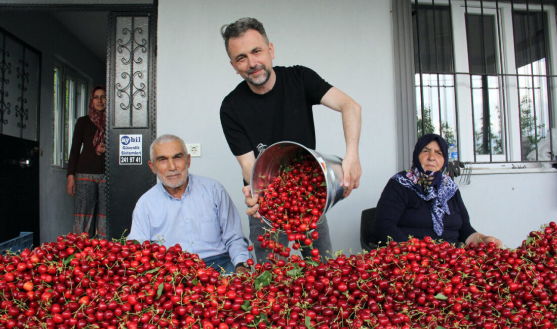 Türkiye’de kiraz mevsimi; Avrupa’ya ihracat başladı Mehmet ÇINAR/DENİZLİ, – TÜRKİYE’de yaklaşık iki hafta önce İzmir- Manisa