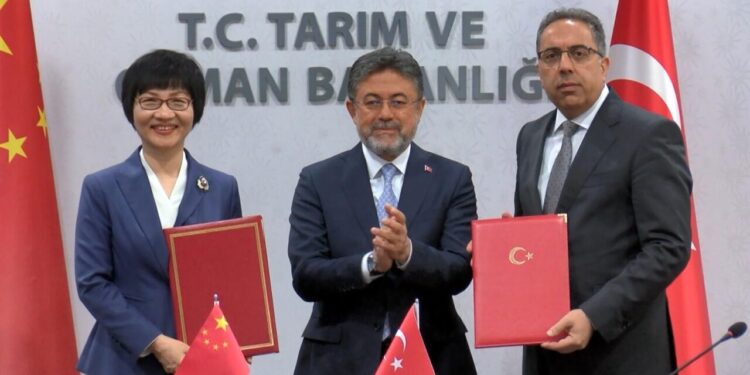 Türkiye ile Çin arasında defne ihracatı protokolü
